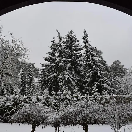 Seeschloesschen 3* Грос-Кёрис